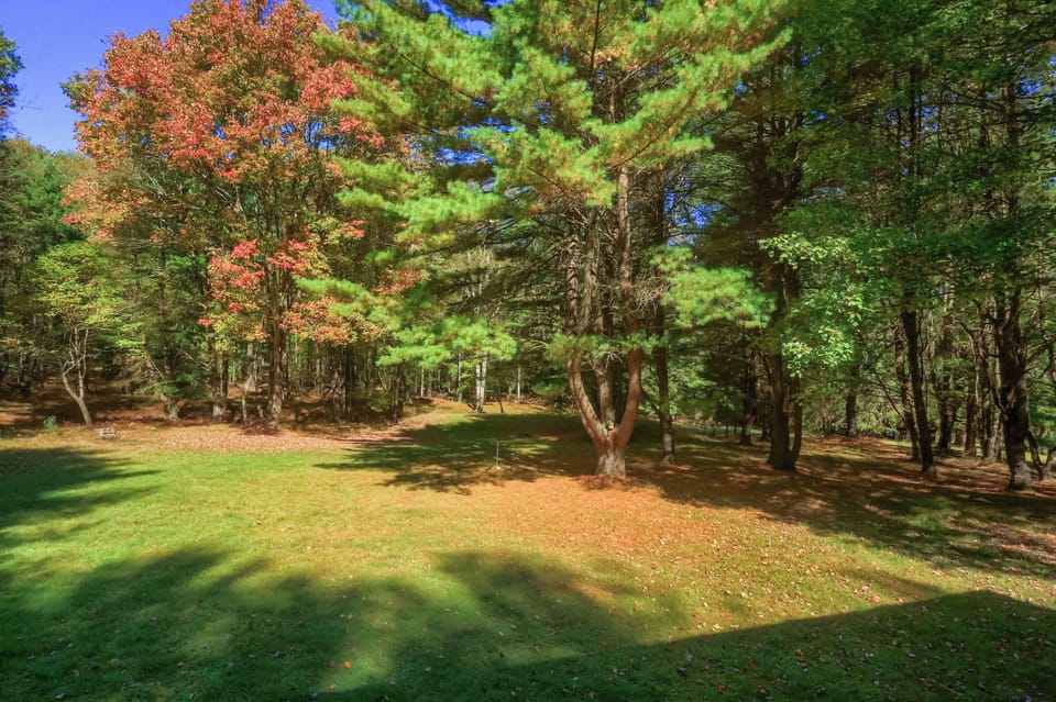 Front yard