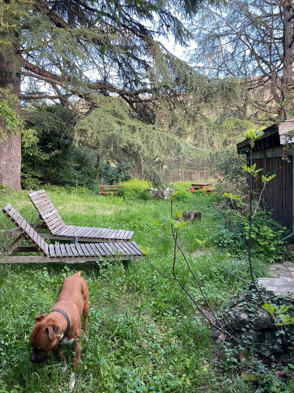 Property grounds