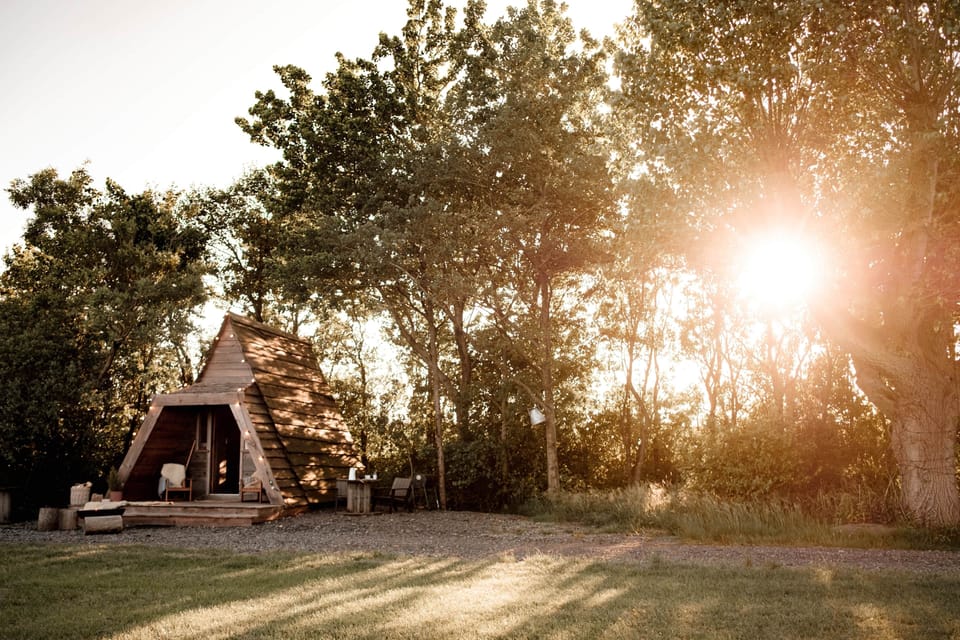 Mushroom Hut