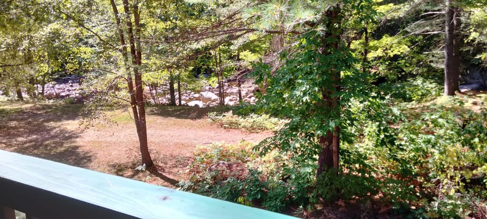 River view from the porch. The water is low this fall!