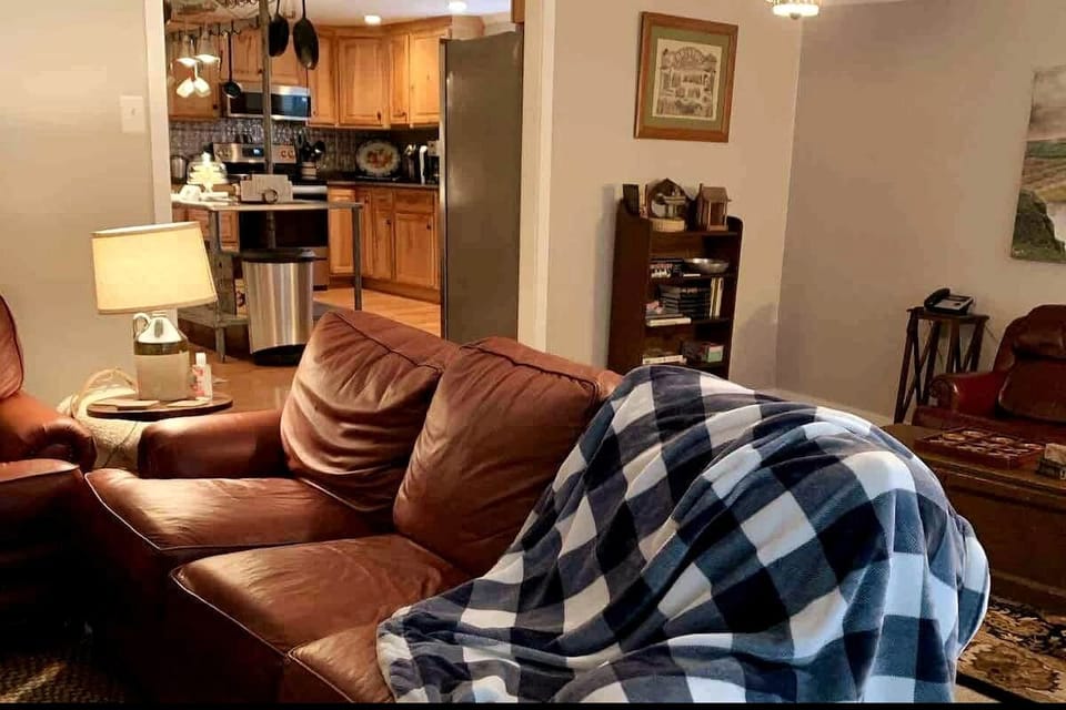 Comfortable Leather Sofas