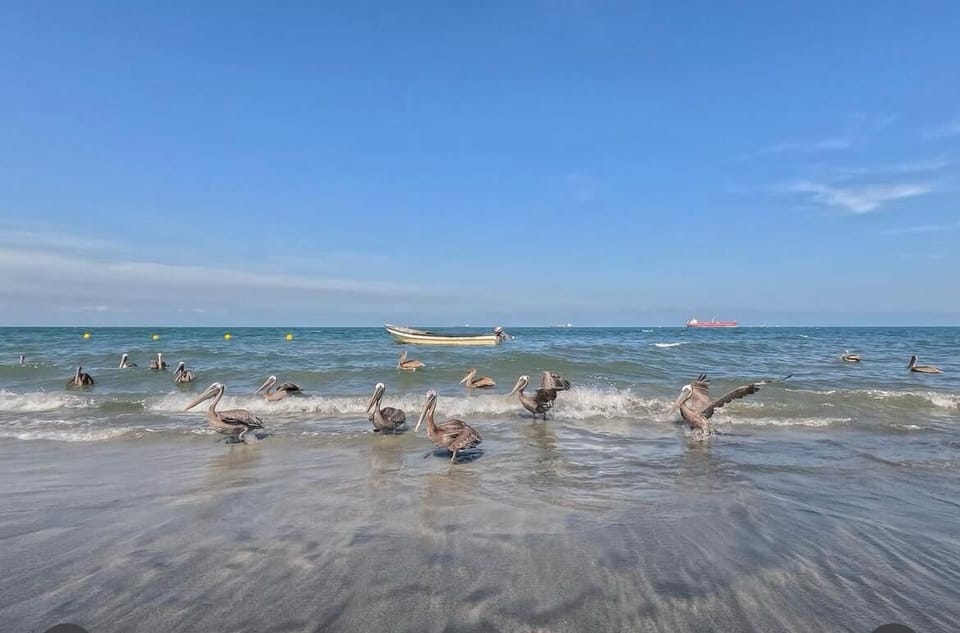 Beach