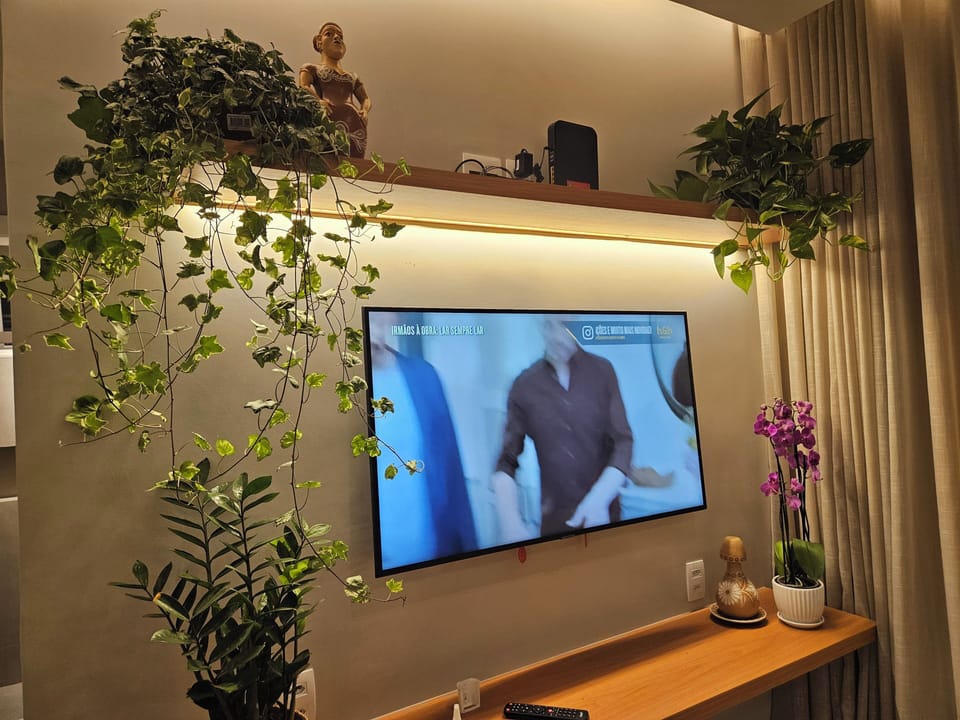 Television