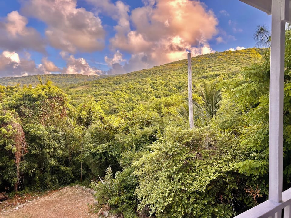 View from property
