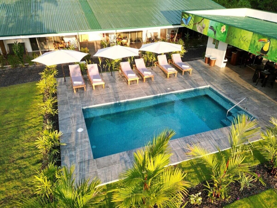 Our pool with comfortable sun loungers