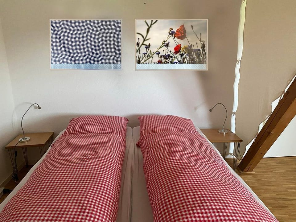 Elme 11_ Double room / private shower room / WC. - Elme and Horst - Elmenhorst Bed and Breakfast in Ostholstein