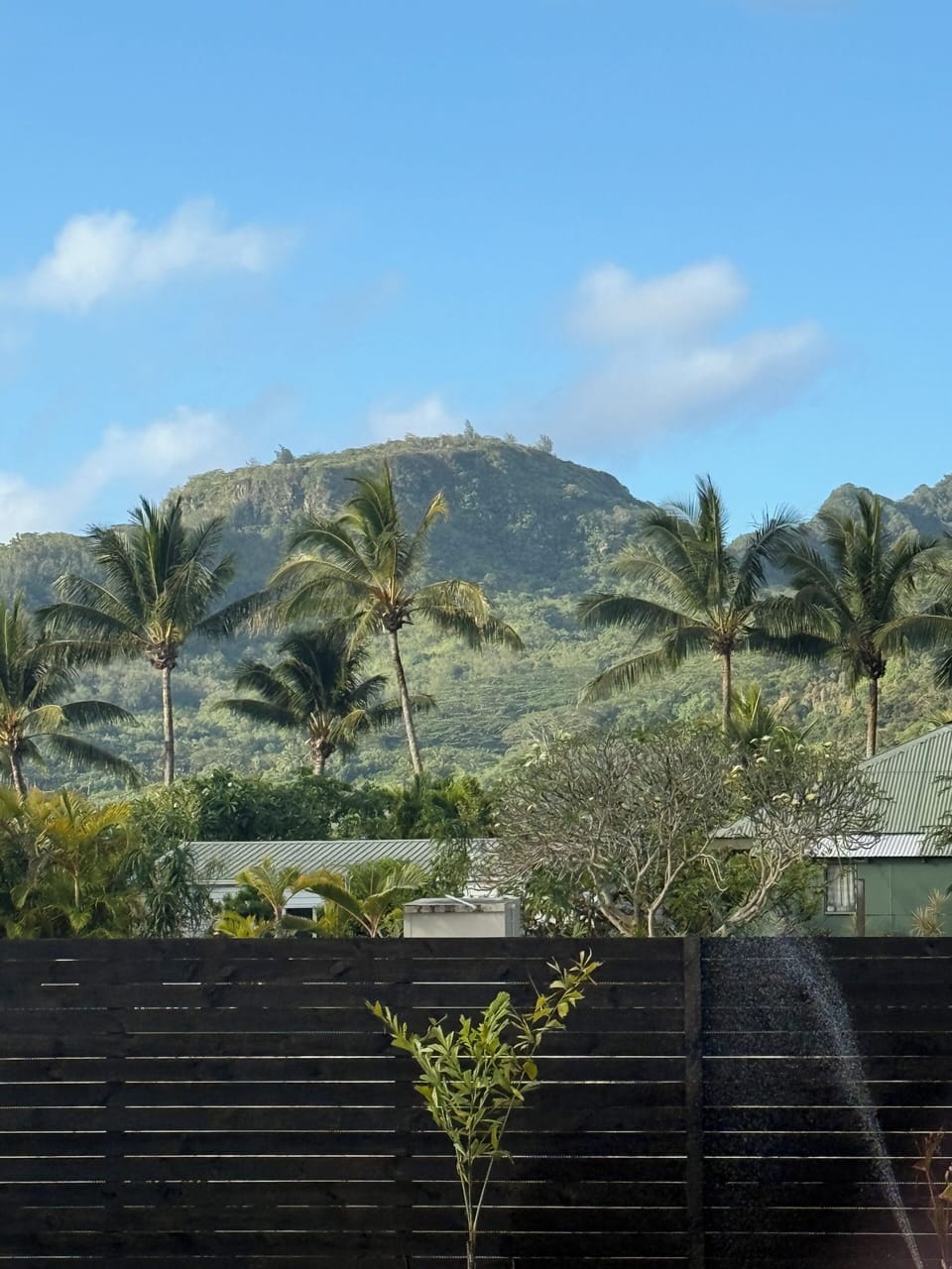 Backyard view of Raemaru Mountain