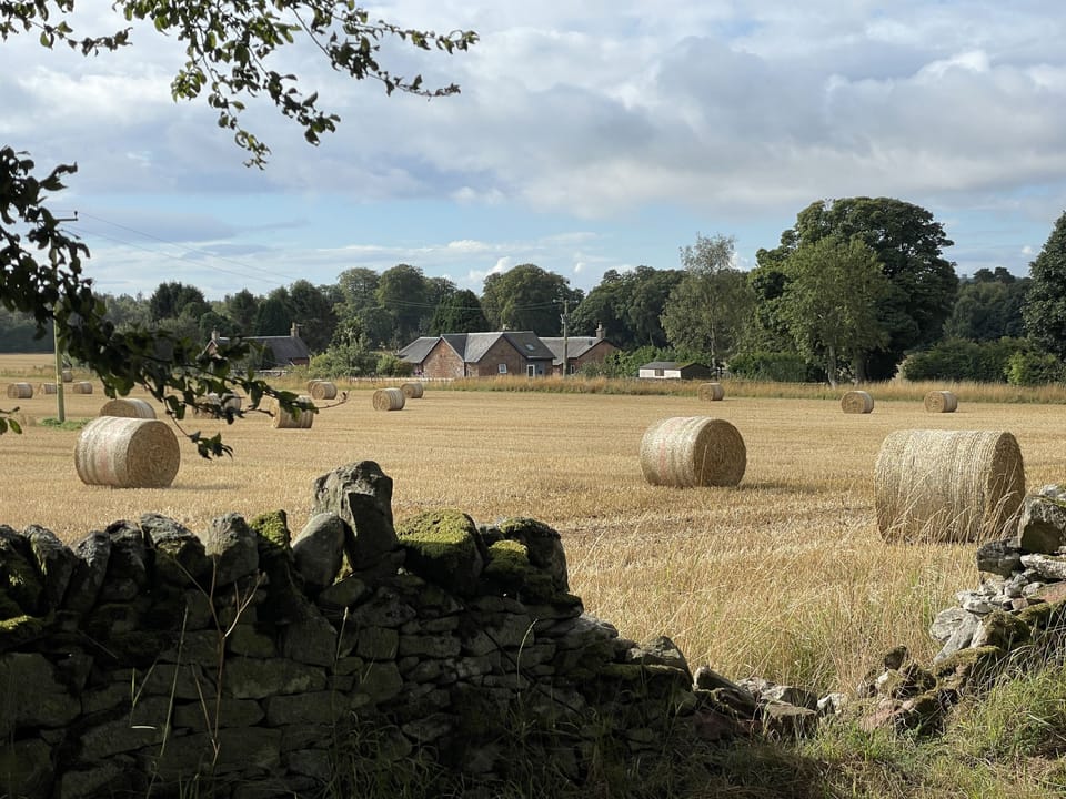 View accross the field towards the Barracks cottages