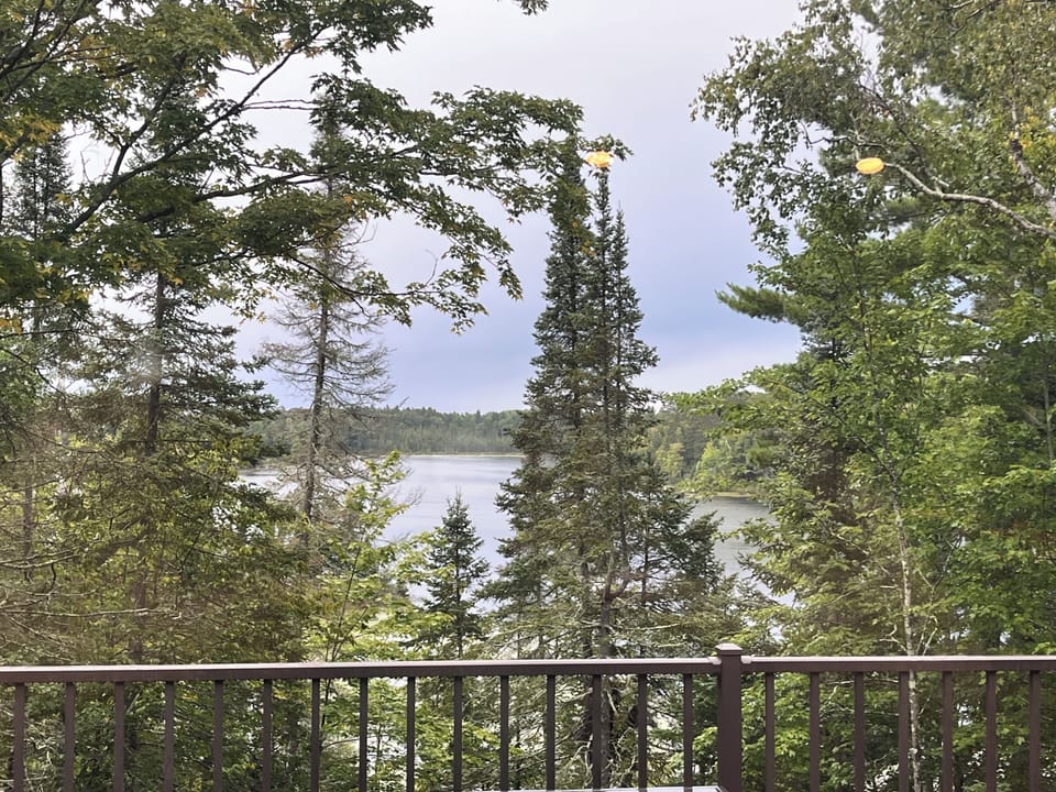 Lake View from Great Room Picture Window