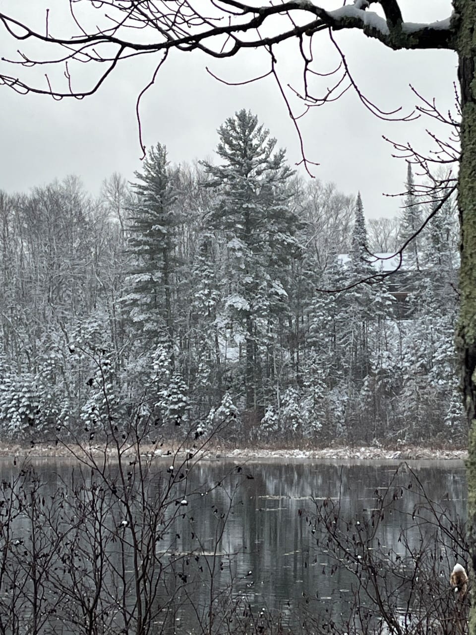 Ole Lake (& my house) View from Penninsula