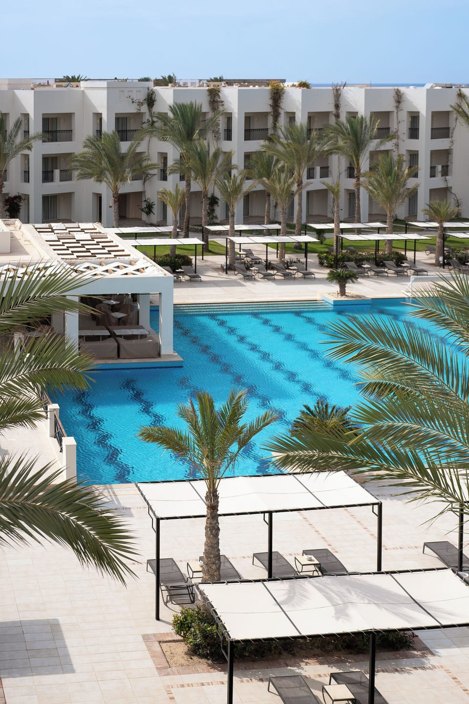 Lounge in the sun with palm-framed pool views all day.