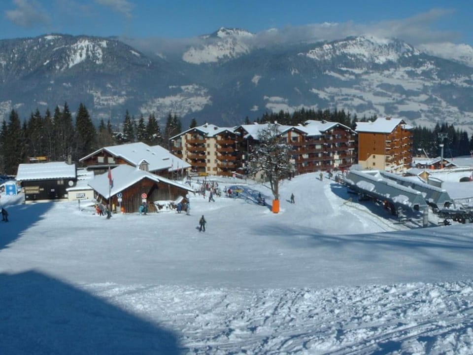 Snow and ski sports