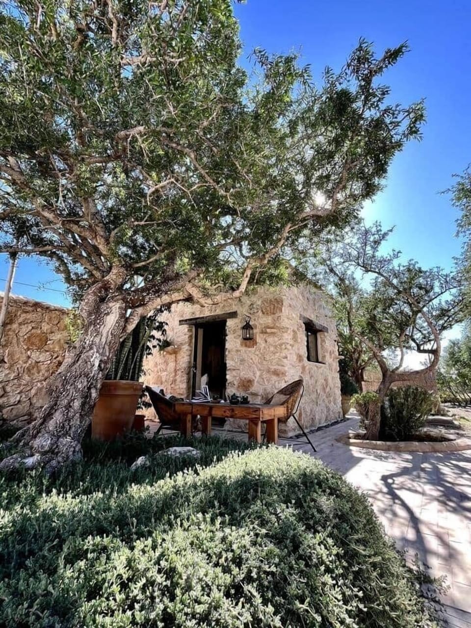 Gatehouse Studio Argan Tree and exterior Kaouki Hill Sidi Kaouki Essaouira