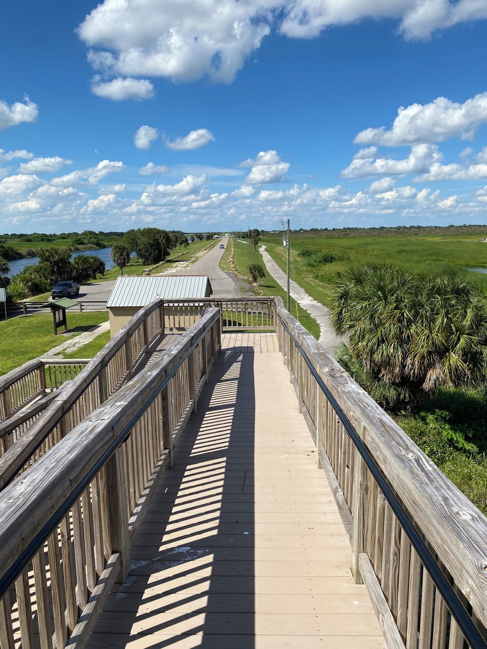 Sam Griffin Scenic Tower, Harney Pond Boat ramp, Bike trail 2 minutes away