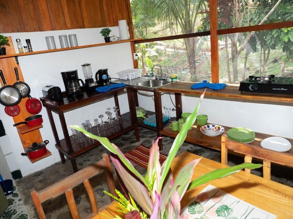 Kitchen with a view