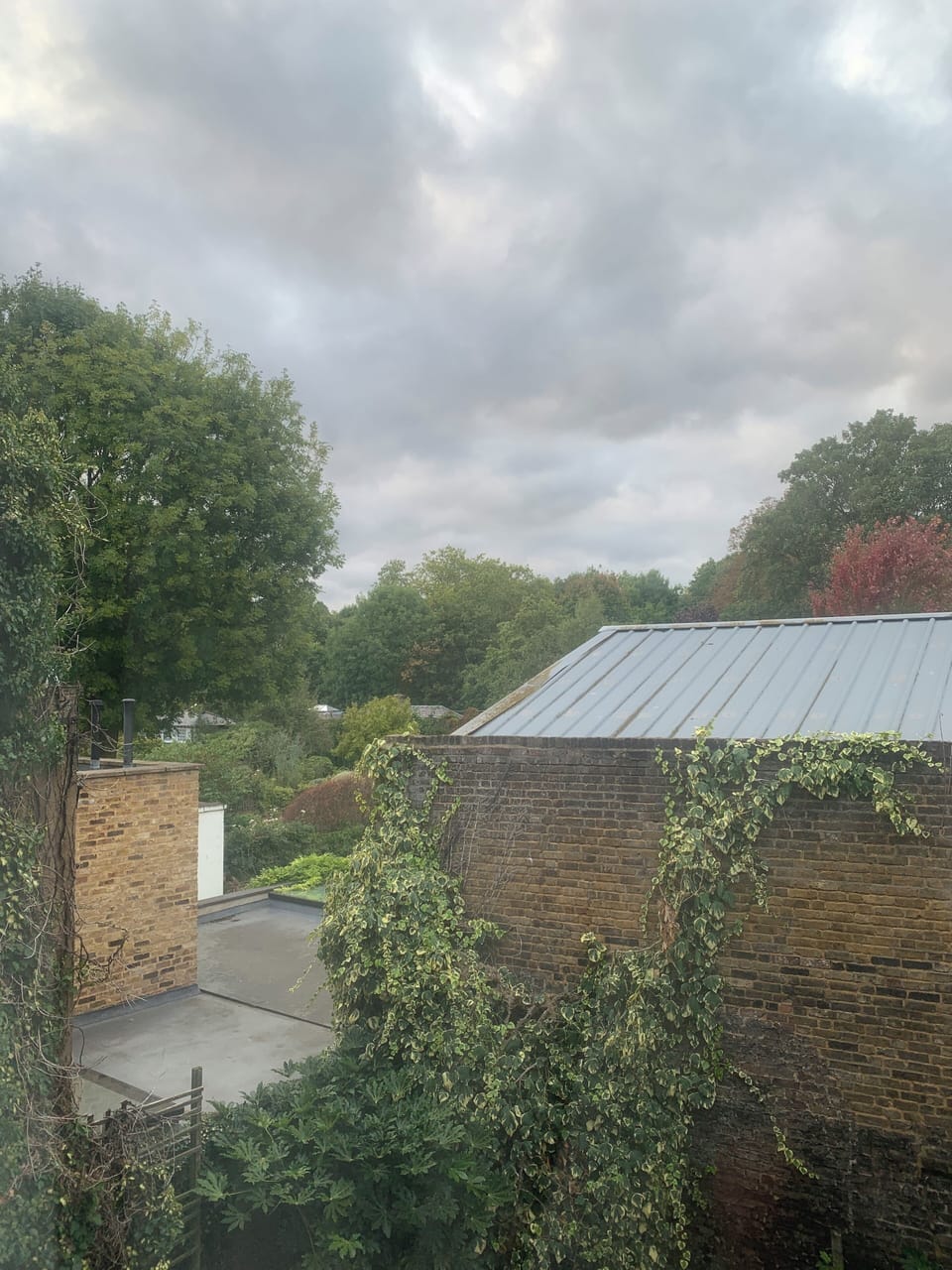 Bedroom window view