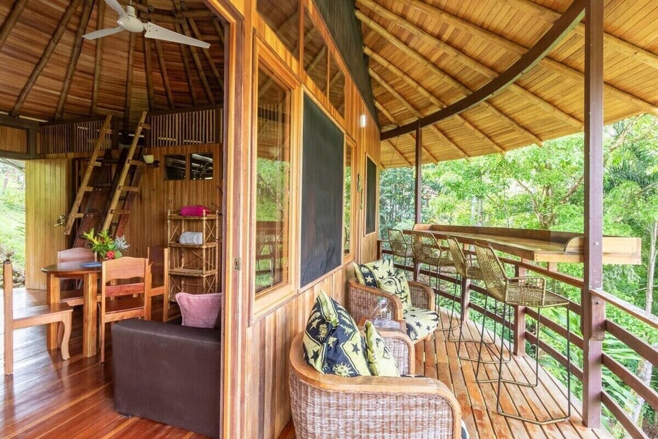Terrace with loungers and bar to enjoy the view into the jungle