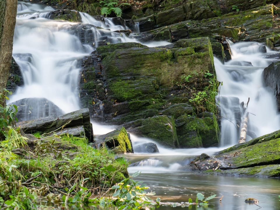 Region [summer] (>5 km)