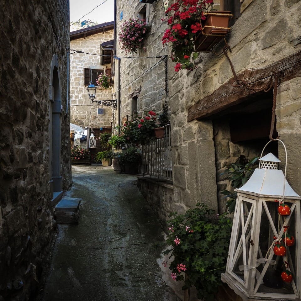 Autumn, Garden, Spring, Summer