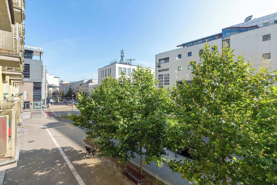 The building's surroundings. 