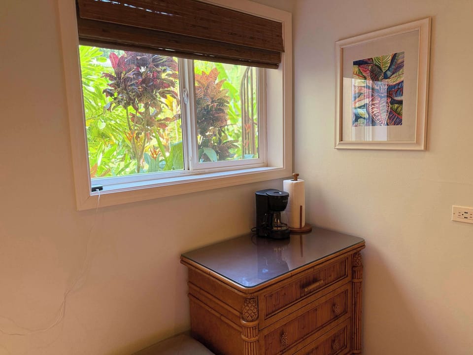 Plumeria Room with queen bed, comfort of AC, ceiling fan, smart TV, mini-fridge and in-room coffee.