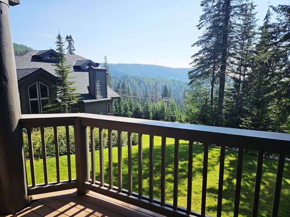 Nature, Outdoors, Scenery, Tree, Fir