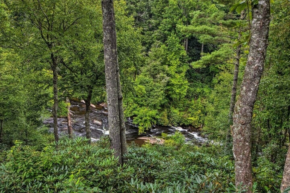 River View from House