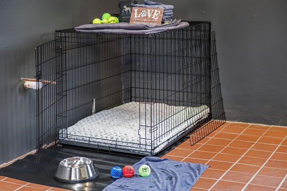 Breezeway space for your dog comes with a crate, bed, bowl, toys, waste bags, and more