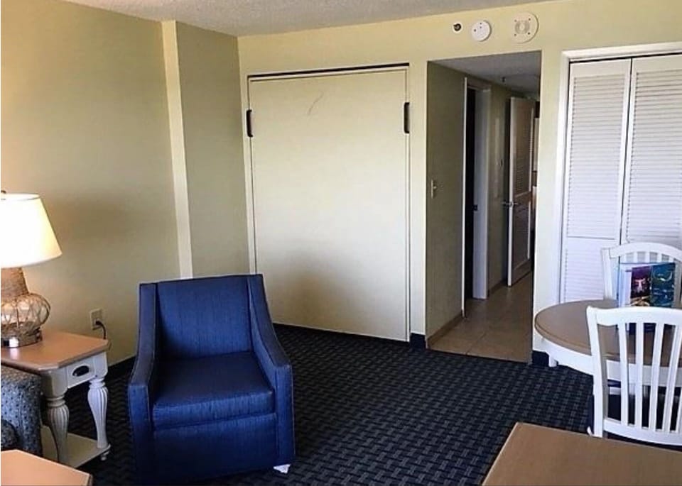 Living room with a large murphy bed