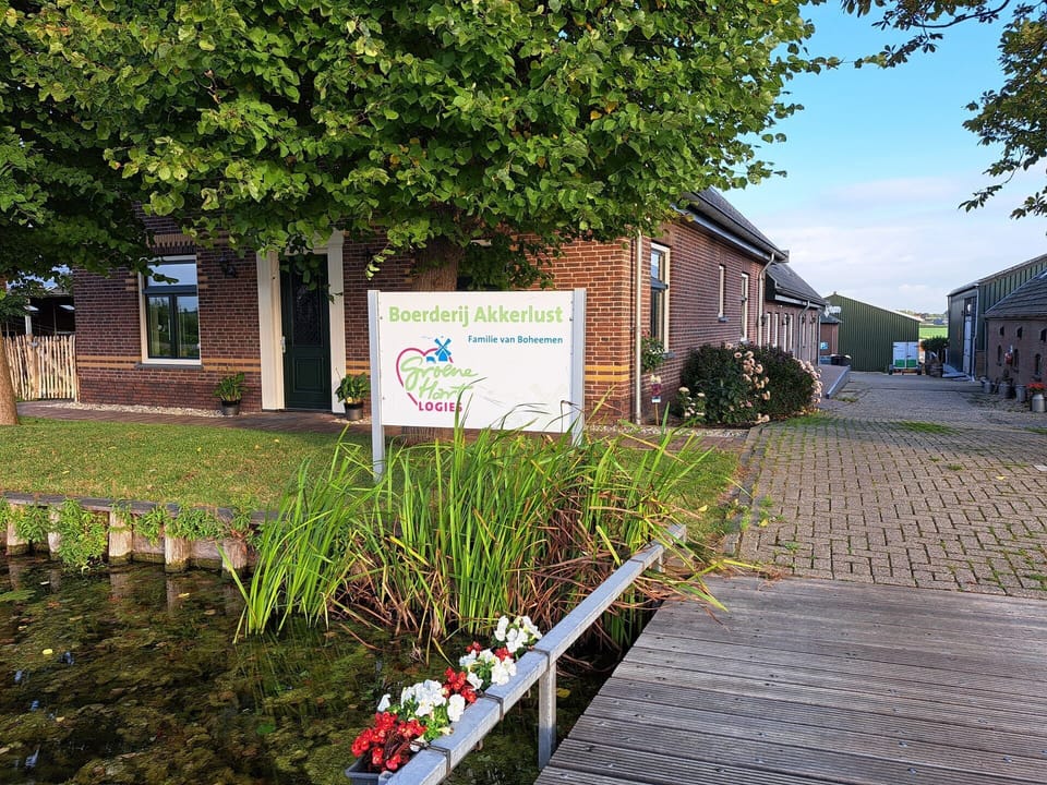 cab475c4bc149988-23344-acb3f9735c8ddab81756981017