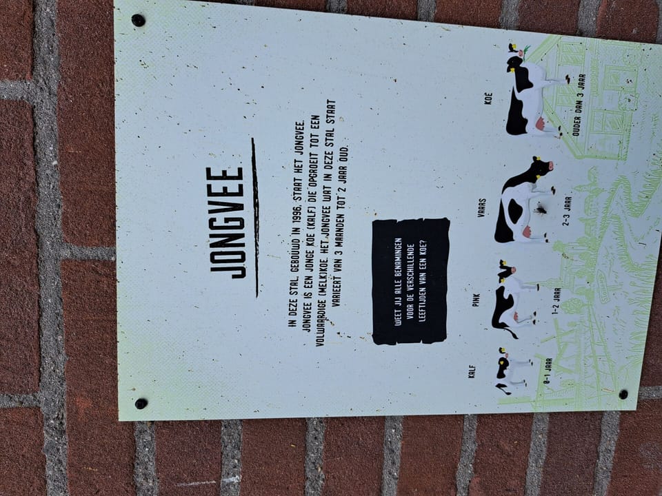 cab475c4bc149988-23331-f9374231a688b43c1756982911