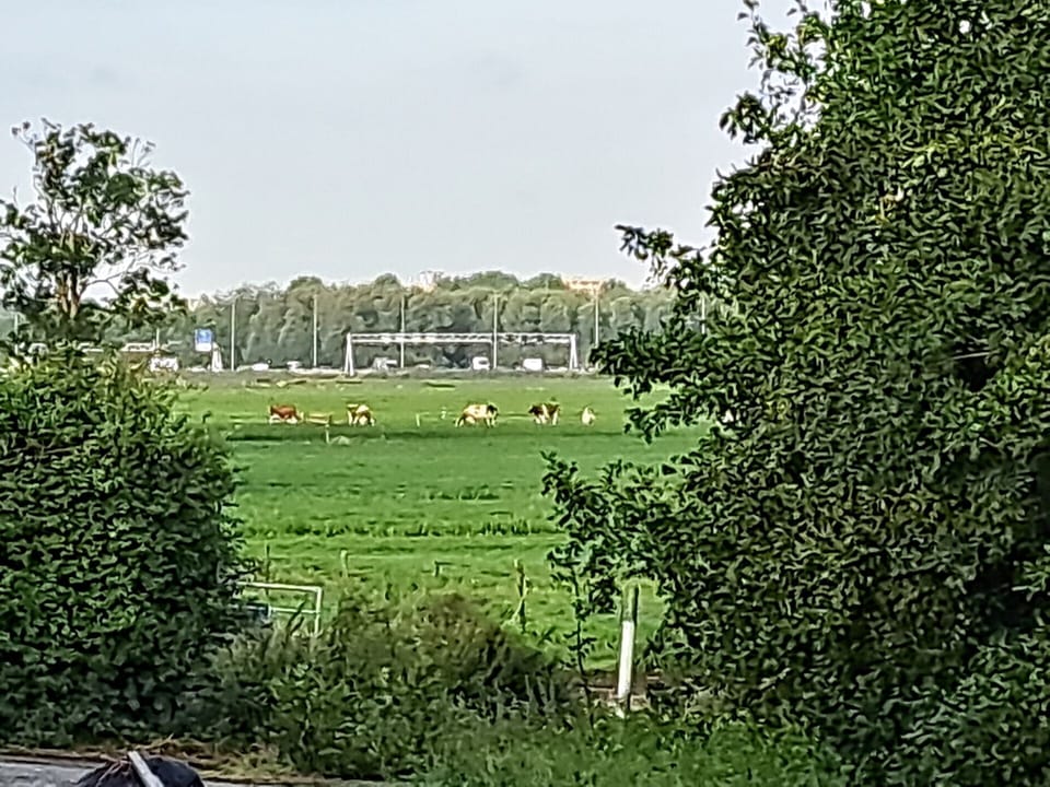 cab475c4bc149988-23275-94abefde861ef4e31756982963