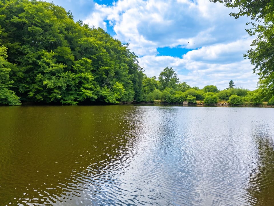 Lake view