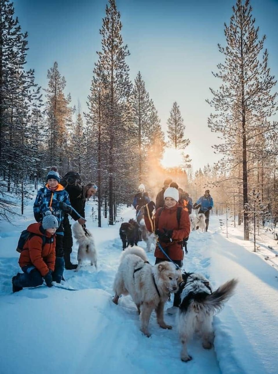 Snow and ski sports