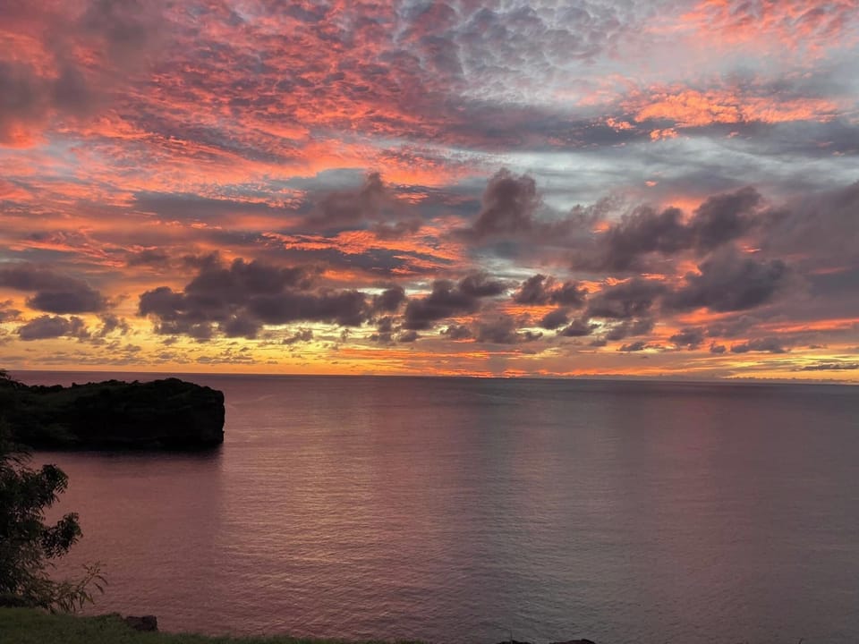 Pinquin Sunset