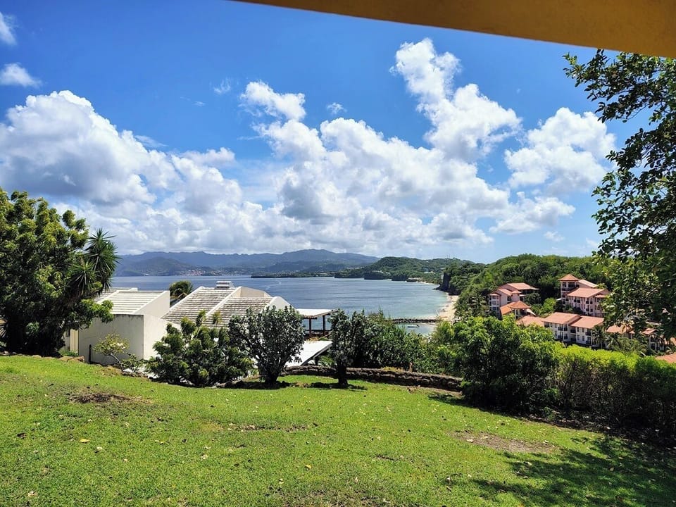 Views from Garden