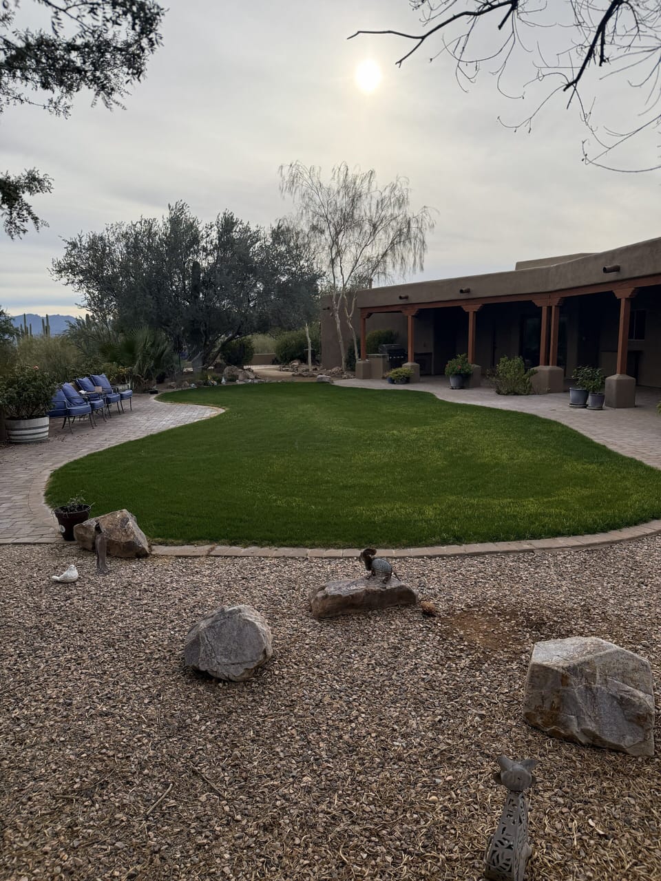 Backyard
