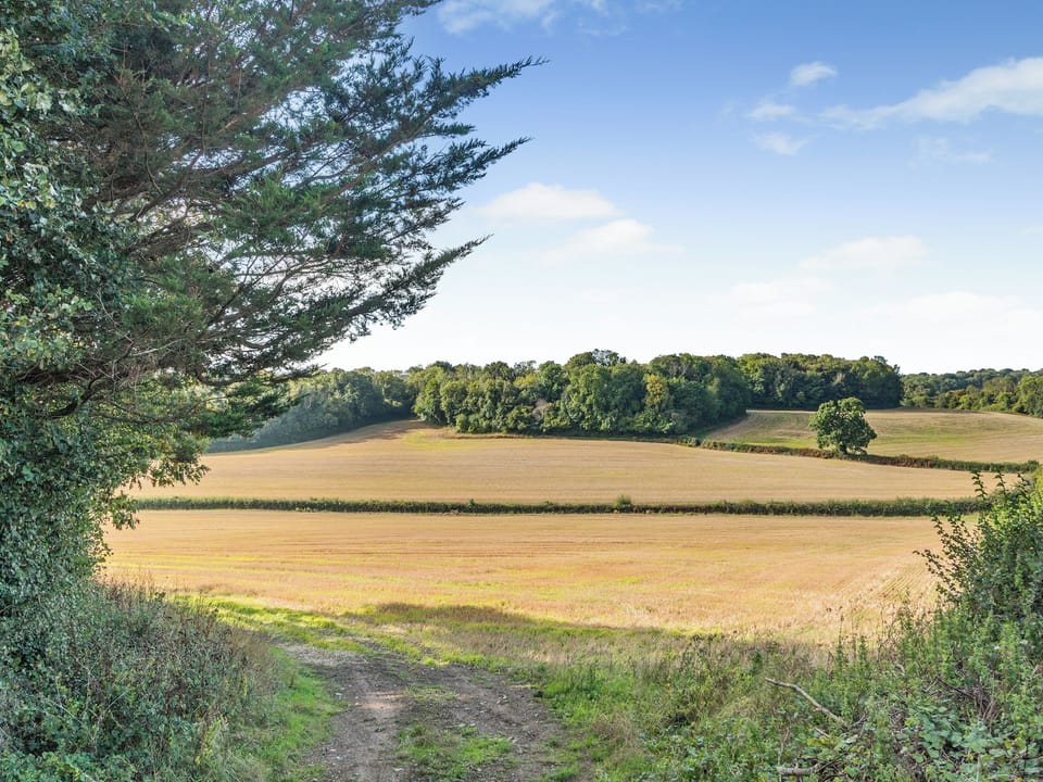 Surrounding area | Clouds Hill Lodge, Newton Abbot
