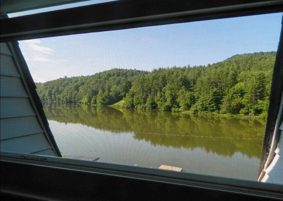 View from master window - with blackout shades for night