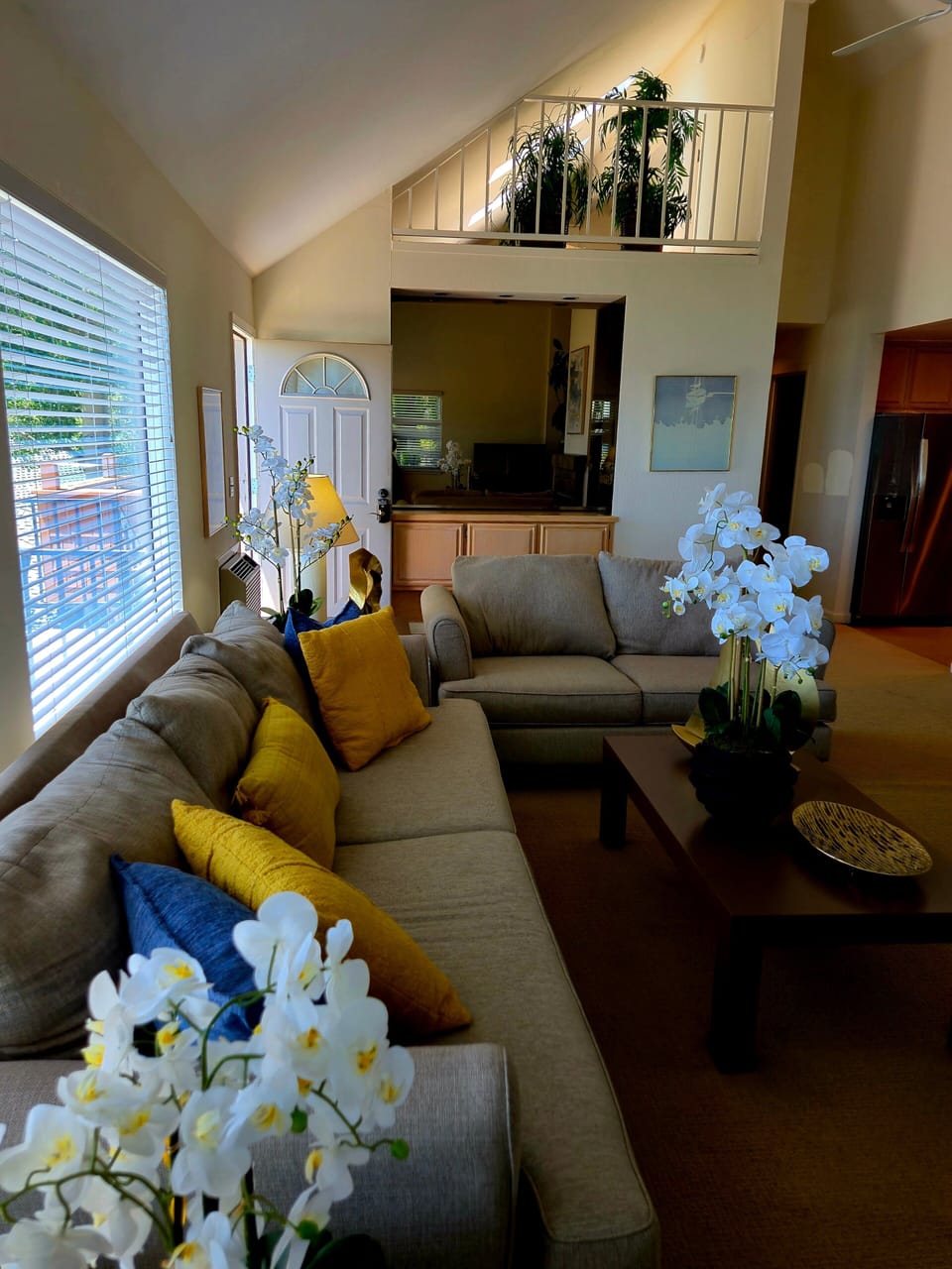 Living room and entrance