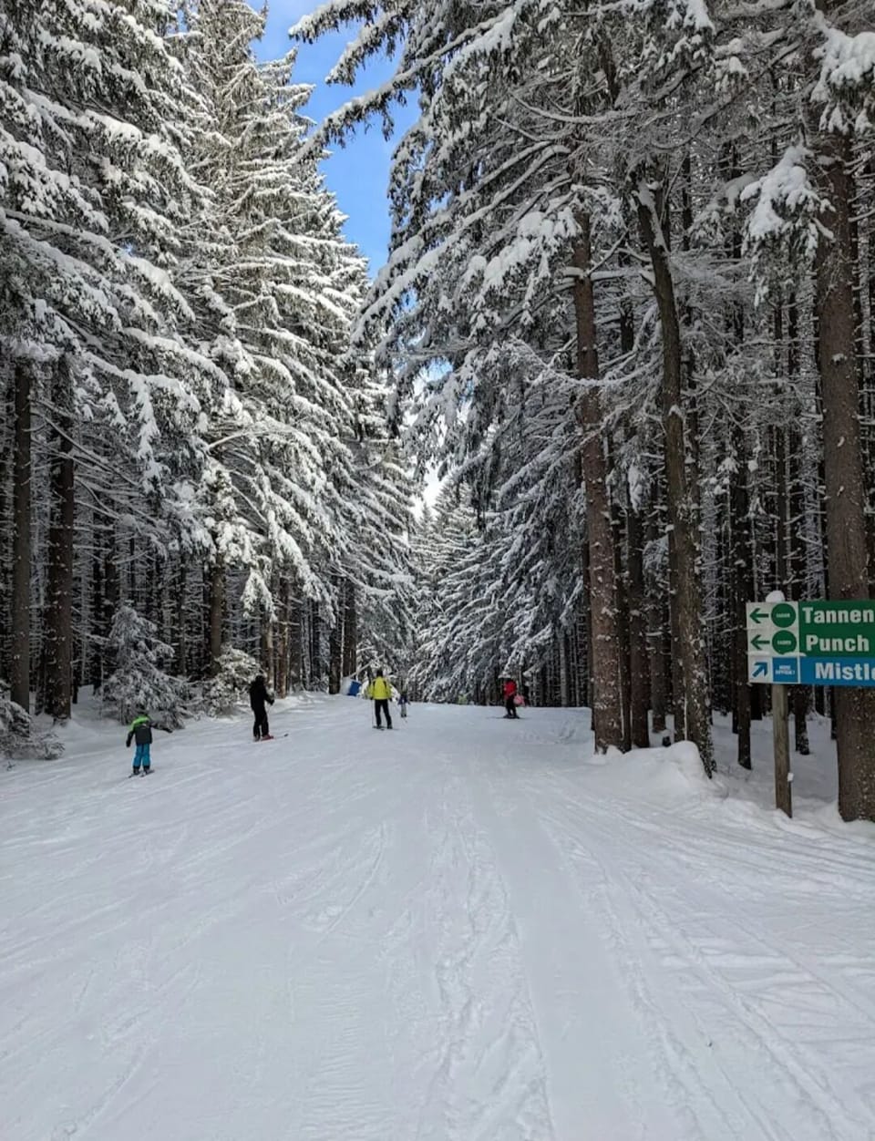 Snow and ski sports