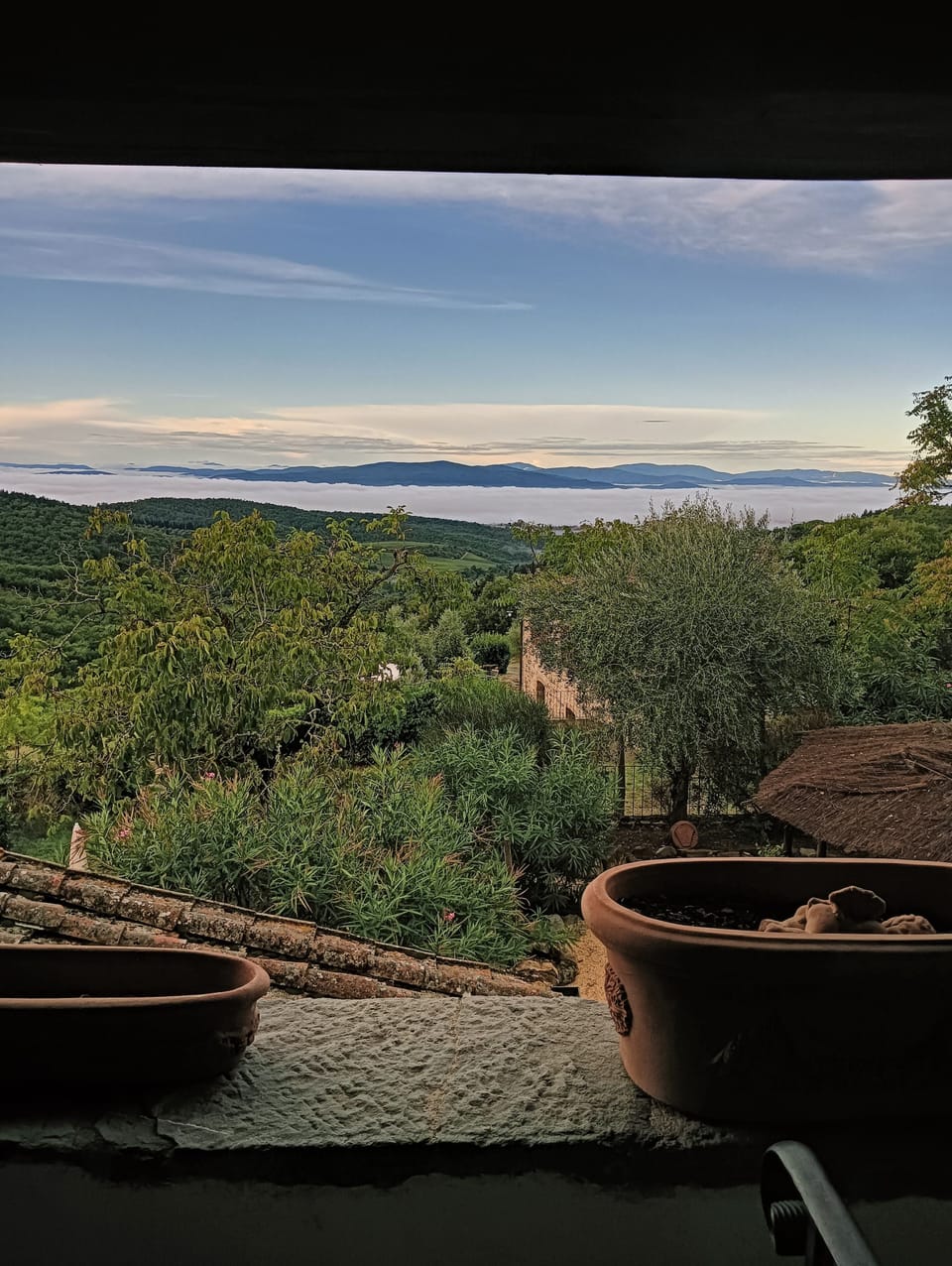 View from property