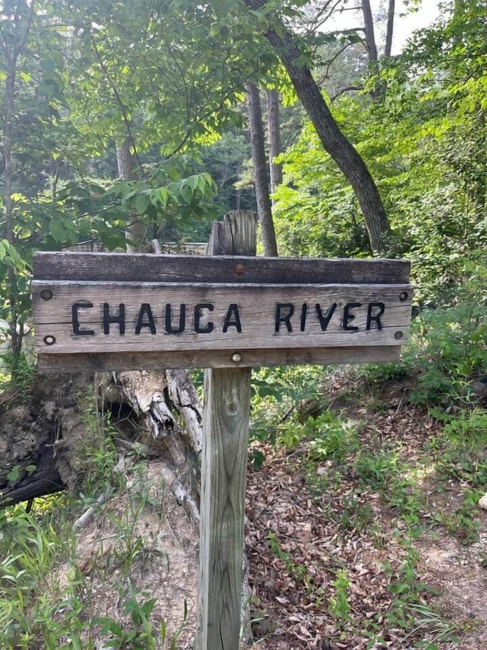 Chau Ram Park in Westminster, SC is a local favorite with a stunning waterfall, riverside trails, and smooth rock beaches perfect for wading or picnicking. A peaceful outdoor escape just a short drive from your stay!