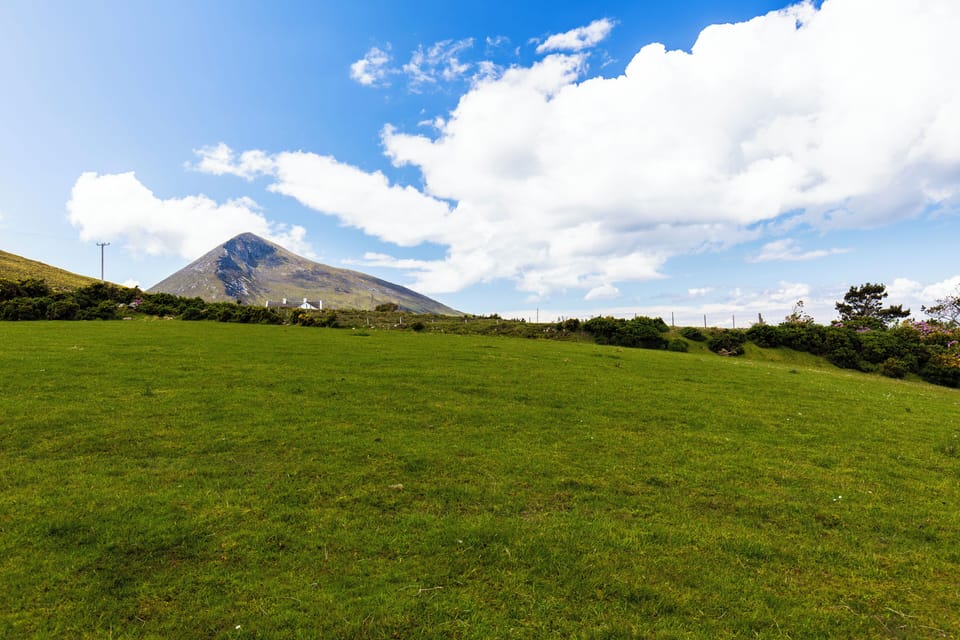 Looking over the property's rear field towards Slievemore mountain
