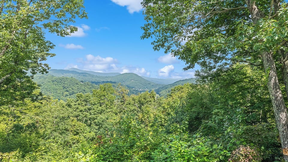 Breathtaking mountain views surrounded by lush trees and blue skies