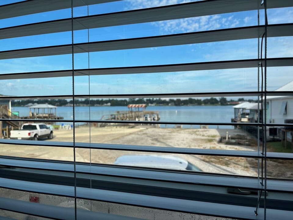 Spoonbill View from Kitchen.