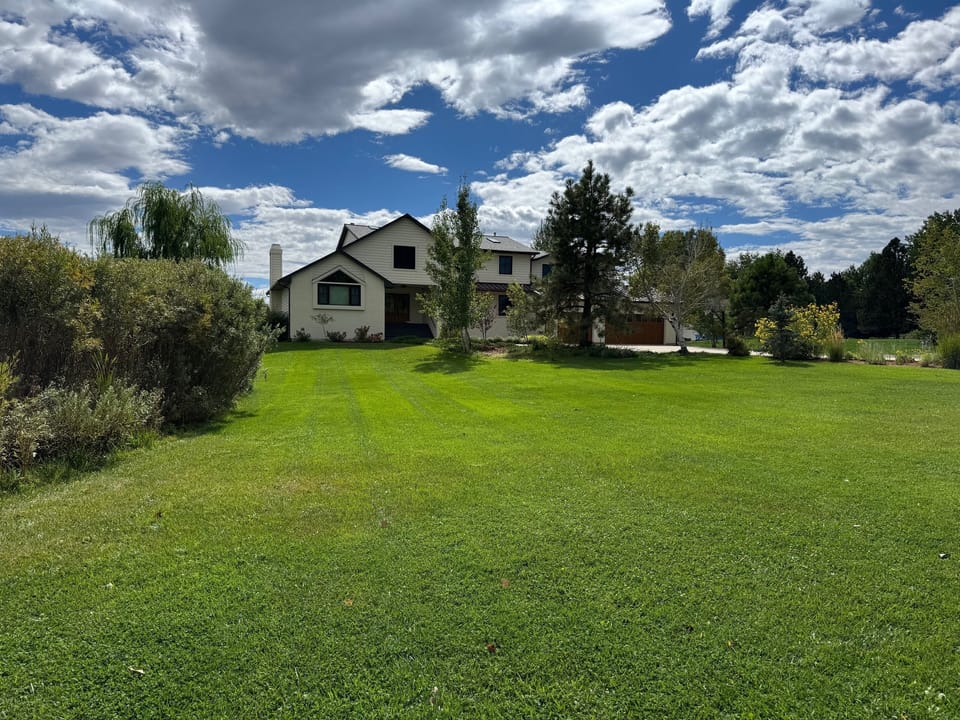 Enormous front lawn space with perennials and fruit trees