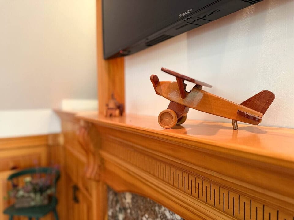 Television