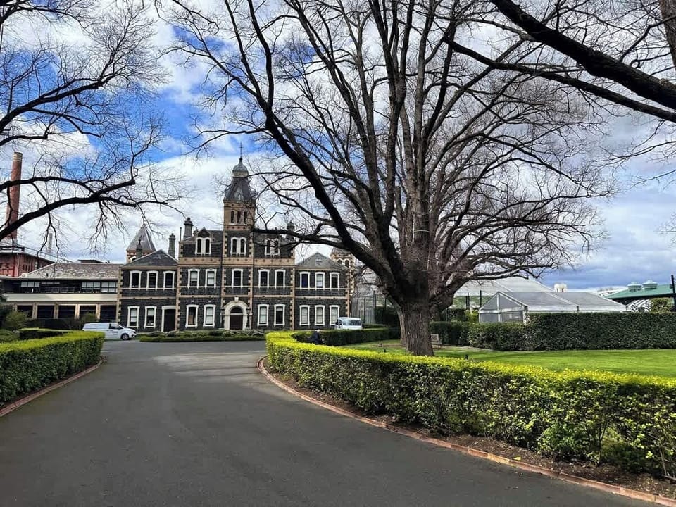 Front of the yard 