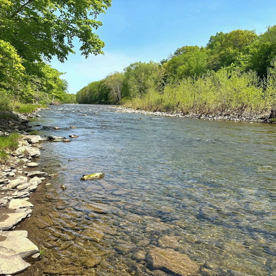 Creek | Backyard | Fishing Poles Provided 